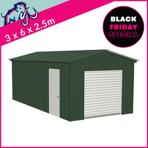 BLACK FRIDAY SPECIAL - Single Standard Apex Garage – 3 x 6 x 2.5m– 1 Roller/1 PA